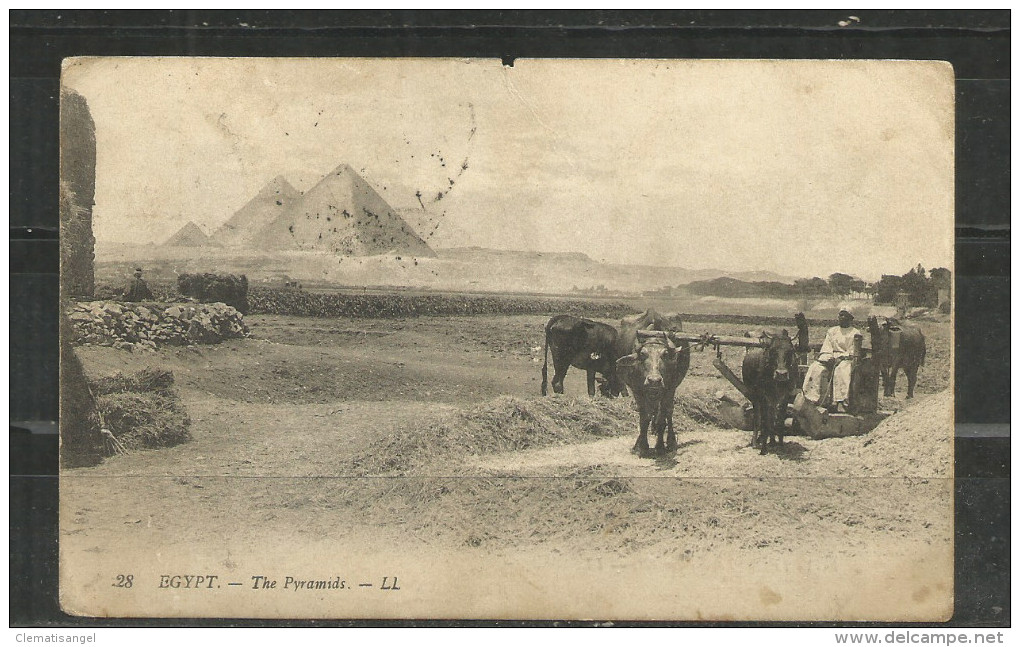 91c * EGYPT * THE PYRAMIDS * 1913 *!! - Pyramides