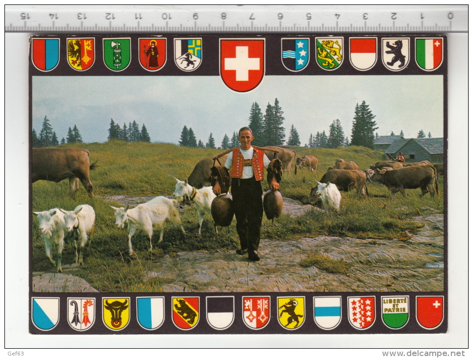 Folklore Suisse - A L'alpage / Auf Der Alp (Sellamatt) Chèvre / Ziege / Goat / Capra - Personnages