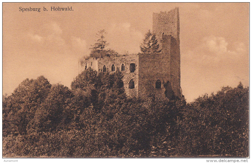 Alemania--Spesburg B.Hohwald---Sello-Mont Ste.Odile - Hohwald (Sachsen)