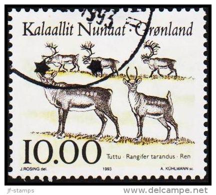 1993. Animals In Greenland Series I. 10,00 Kr.  (Michel: 241) - JF175366 - Neufs