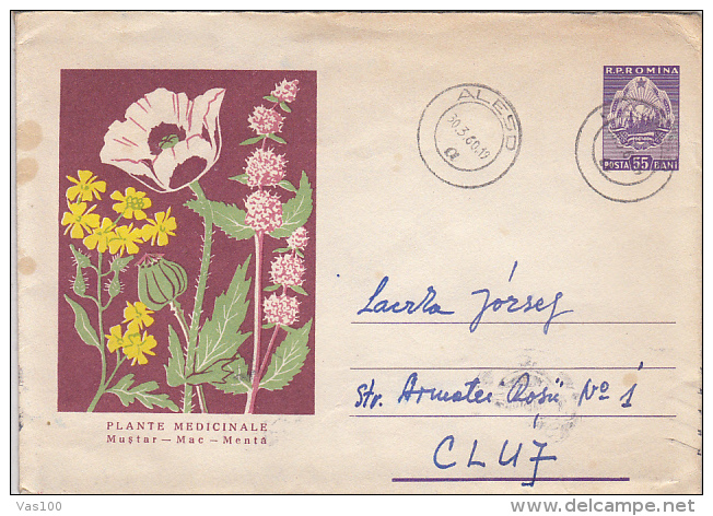 MEDICINAL PLANTS, MUSTARD, POPPY, MINT, COVER STATIONERY, ENTIER POSTAUX, 1960, ROMANIA - Plantas Medicinales