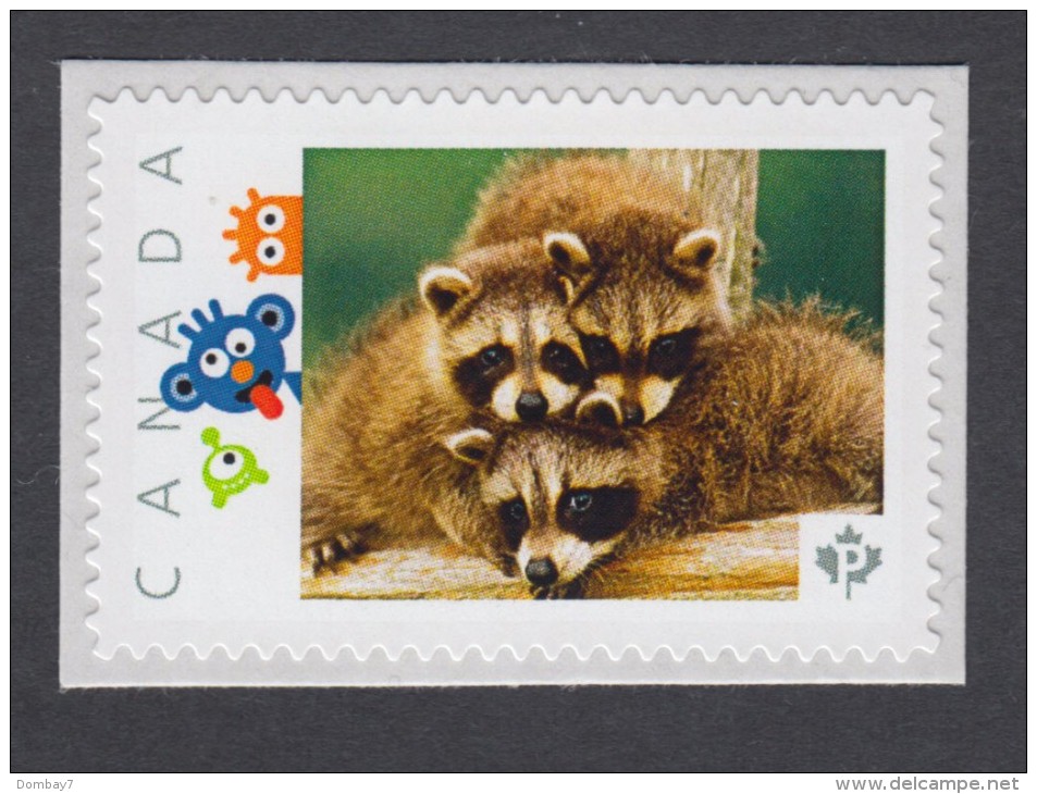 BABY RACCOONS, RATON LAVEUR. WASCHBÄR, MAPACHE, PROCIONE Picture Postage MNH Stamp, Canada  2014 [p74ba4/4] - Other & Unclassified