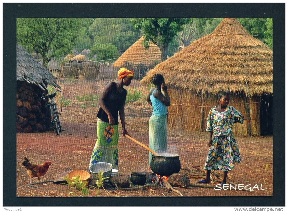 SENEGAL  -  Village Scene  Unused  Postcard As Scan - Senegal