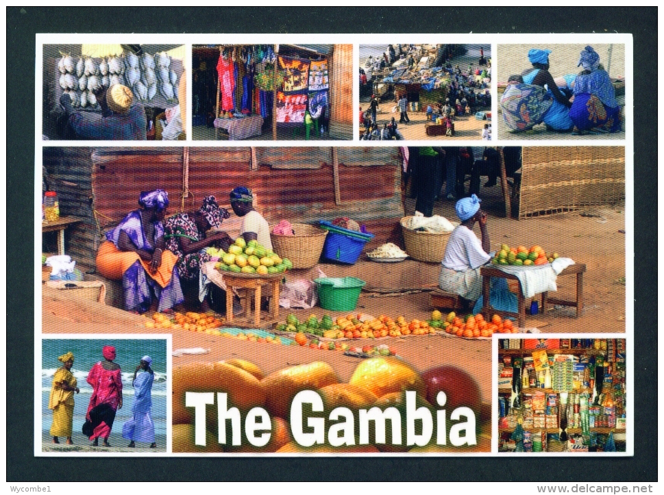 GAMBIA  -  Multi View  Unused  Postcard As Scan - Gambia
