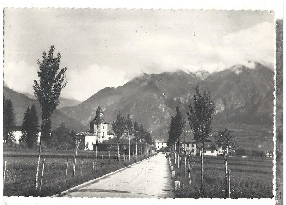 CAMPO LOMASO  PANORAMA..VIAGGIATA .1954-FG.C282 - Trento