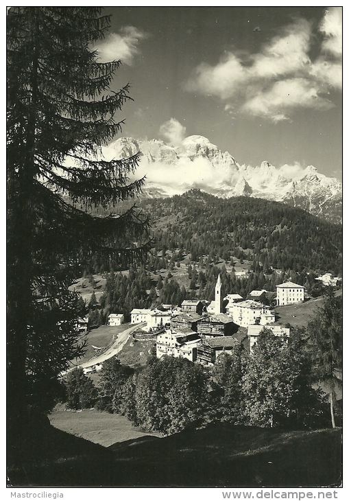 PIANAZ  ZOLDO ALDO  BELLUNO  Panorama Con Civetta - Belluno