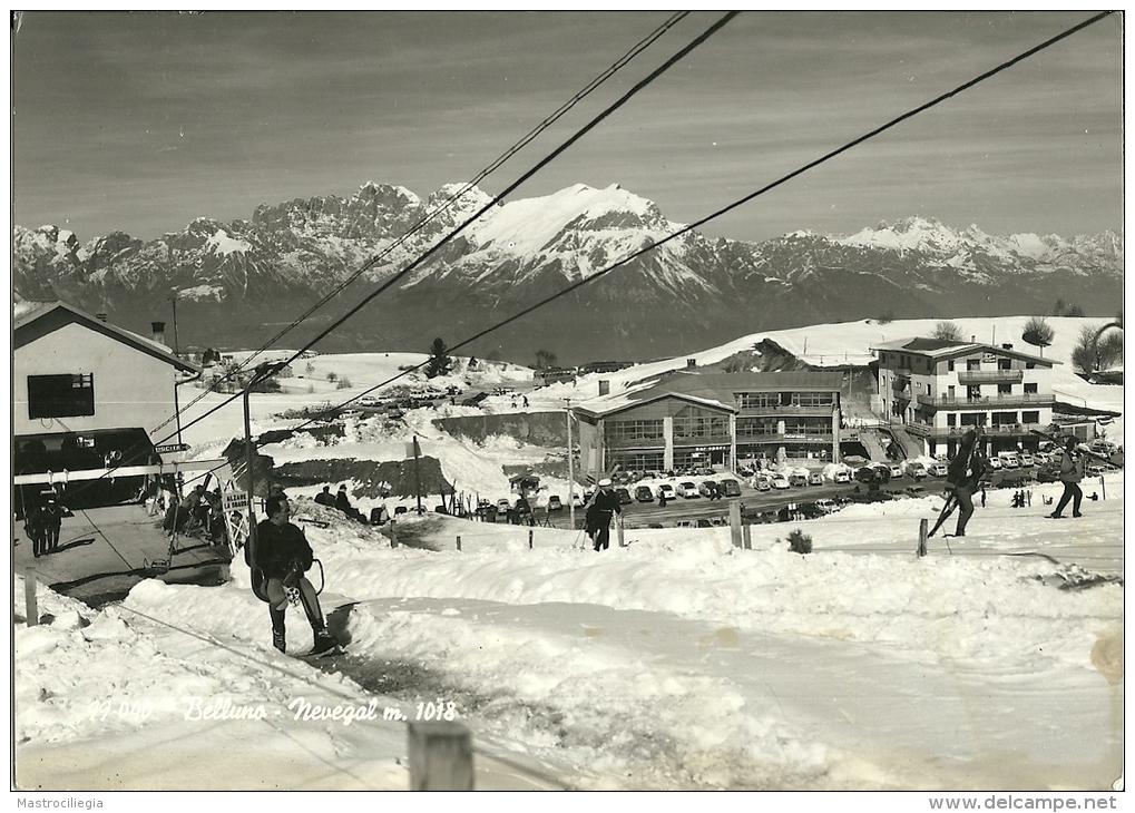 NEVEGAL  BELLUNO  Impianto Di Risalita  Funivia  Sciatori  Ski - Belluno