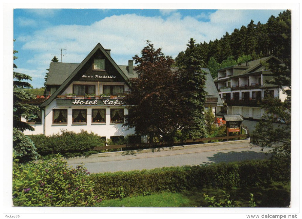 Allemagne--WILLINGEN--Kur Und Sporthotel FRIEDERIKE ****,cpm éd Grobbel Kart--carte Publicitaire De L'Hotel - Waldeck