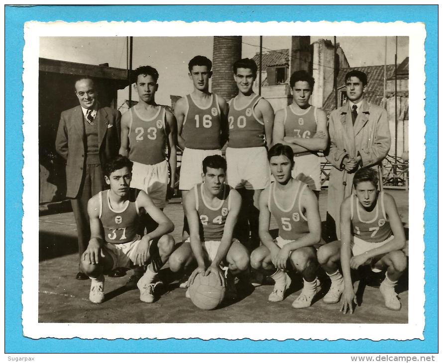 S. L. BENFICA - BASQUETEBOL BASKETBALL BALONCESTO - OLD Photo - PORTUGAL - 2 Scans - Basketball