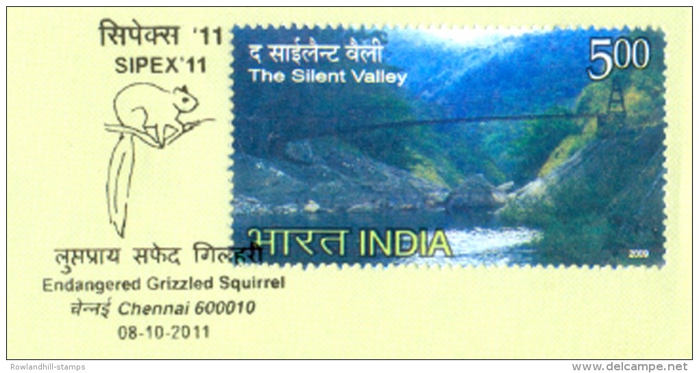 INDIA, 2011, ENDANGERED GRIZZLED SQUIRREL, Special Cover, SQUIRREL, Animal, Rodent, Wild, FAUNA, Valley, Nature. - Cartas & Documentos