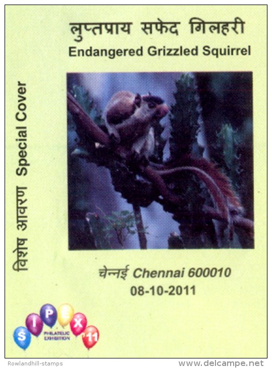 INDIA, 2011, ENDANGERED GRIZZLED SQUIRREL, Special Cover, SQUIRREL, Animal, Rodent, Wild, FAUNA, Valley, Nature. - Cartas & Documentos
