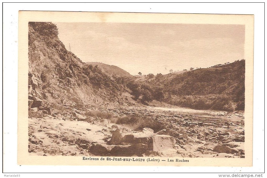 ENVIRONS DE SAINT JUST SUR LOIRE - LOIRE - LES ROCHES - Saint Just Saint Rambert