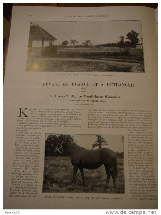 1910 LE SALON DE L´AUTOMOBILE / MOTOBLOC / TORPEDO / BARRE NIORT / TERROT / SAOUTCHIK / PNEU PALMER / HARAS D'OUILLY