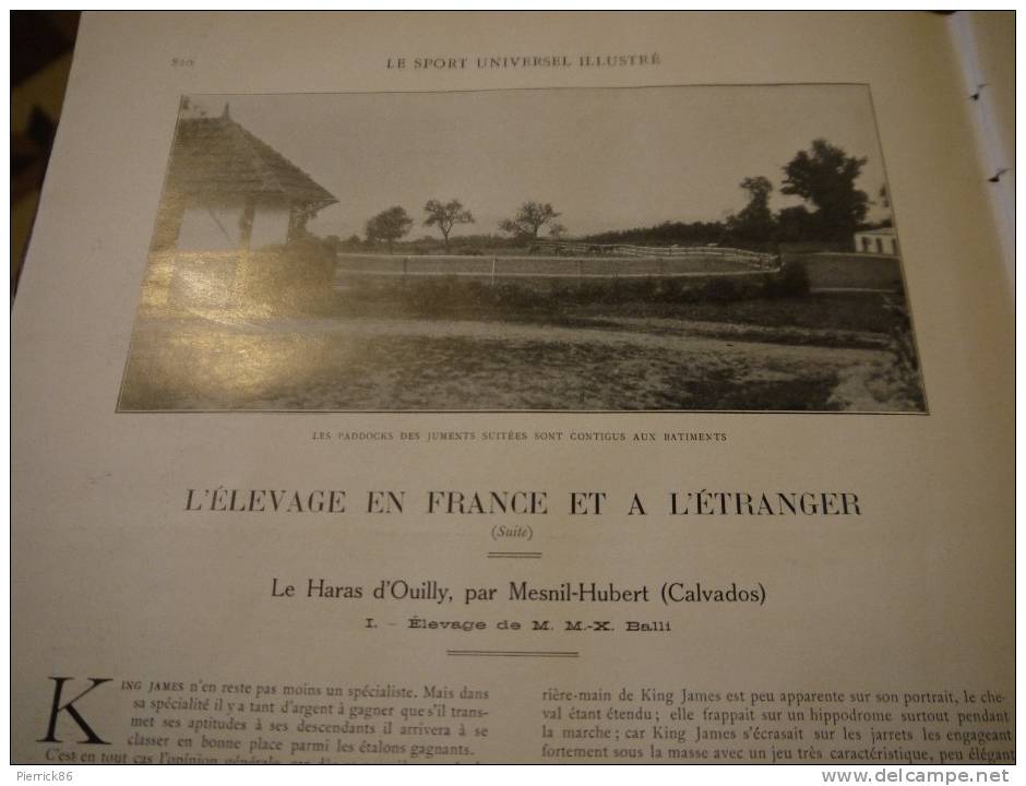 1910 LE SALON DE L´AUTOMOBILE / MOTOBLOC / TORPEDO / BARRE NIORT / TERROT / SAOUTCHIK / PNEU PALMER / HARAS D'OUILLY