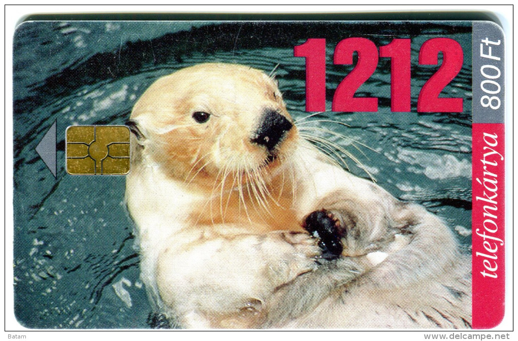 1 - Seal - Animals - Phonecard - Hungary 2001 - Otros & Sin Clasificación