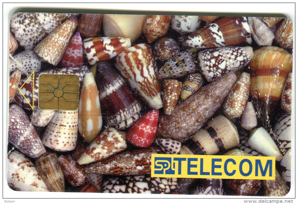 1 - Sea Life - Shell - Animals - Phonecards - Czech Republic - Autres & Non Classés