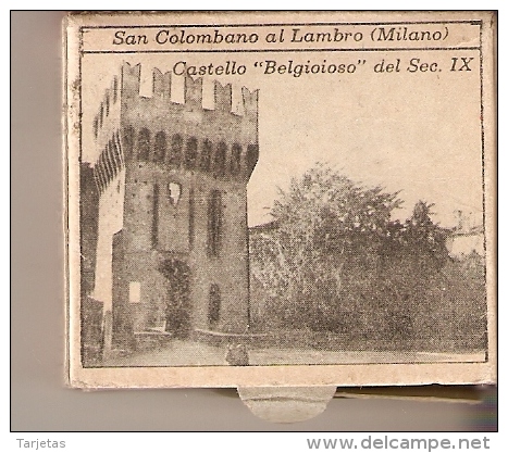 CAJA DE CERILLAS DE ITALIA DE SAN COLOMBANO AL LAMBRO (MILANO) CASTELLO BELGOIOSO (SAFETY MATCHES) - Boites D'allumettes