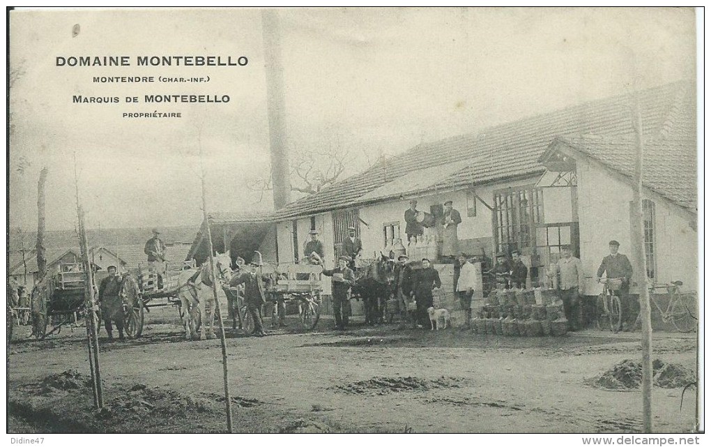 MONTENDRE - DOMAINE MONTEBELLO - - Montendre