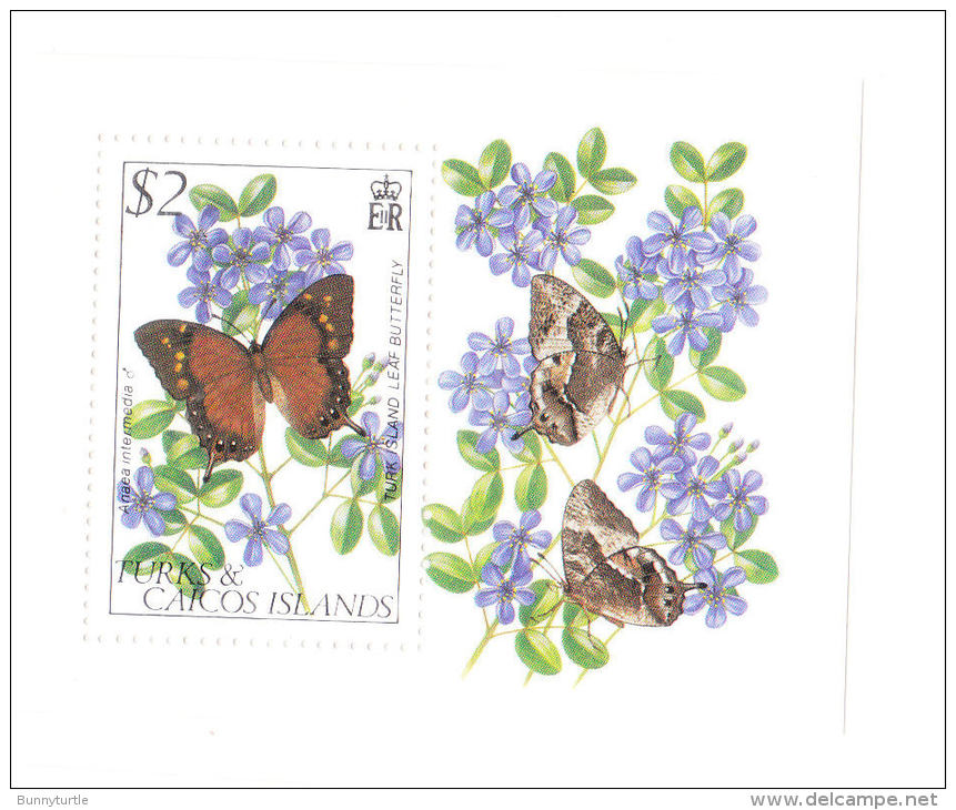 Turks &amp; Caicos 1982 Butterfly S/S MNH - Turks And Caicos
