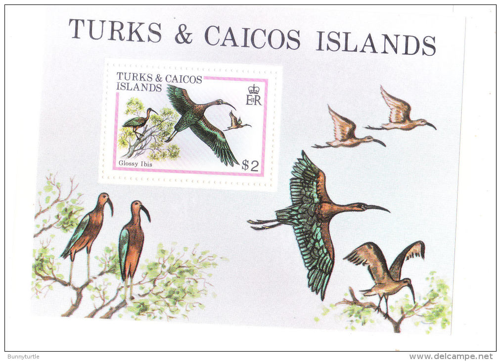 Turks &amp; Caicos 1980 Birds S/S MLH - Turks & Caicos