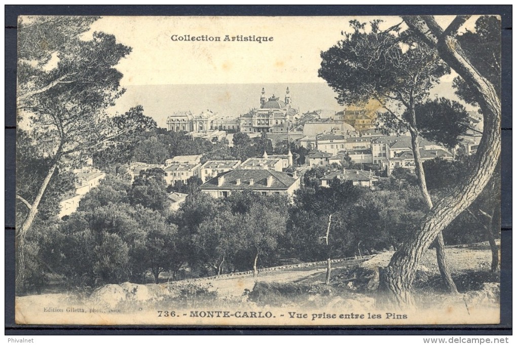 1909 MÓNACO , MONTECARLO , VISTA ENTRE LOS PINOS , CIRCULADA. - Monte-Carlo