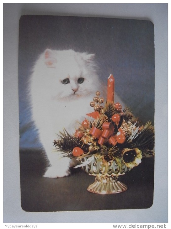 1 CALENDAR SMALL - ANIMAL GATO CAT CHAT GATTO KATZE - Formato Piccolo : 1991-00