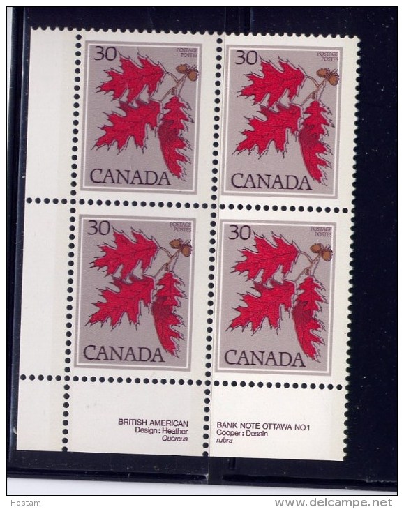 CANADA 1977, # 720, TREE DEFINITIVES: RED OAK, LL BLOCK   M NH - Blocs-feuillets