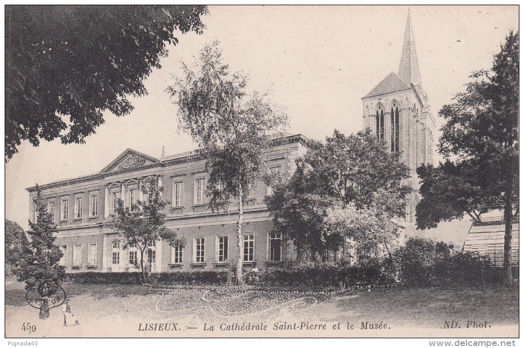 Cp , 14 , LISIEUX , La Cathédrale Saint-Pierre Et Le Musée - Lisieux