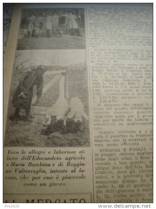 GUALDO TADINO AMATRICE SAN GIOVANNI TEATINO VALLESORGA PECCIOLI MARCARIA JERZU SEDEGLIANO TIZZANA MIGLIARINO PISANO - Andere & Zonder Classificatie