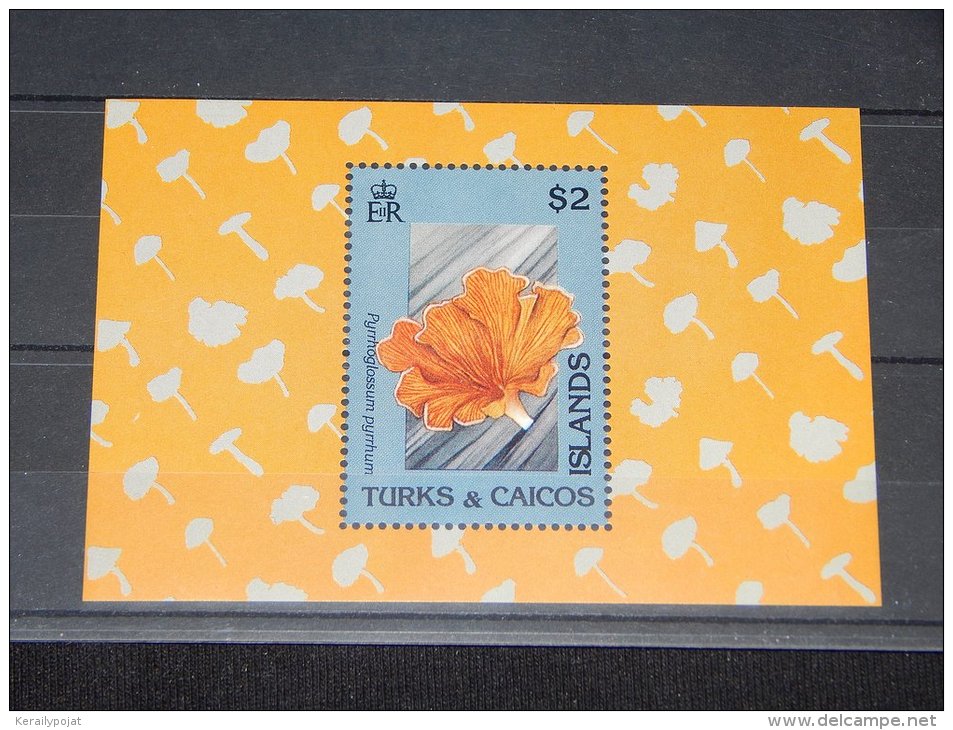 Turks And Caicos - 1991 Mushrooms Block (2) MNH__(TH-9846) - Turcas Y Caicos