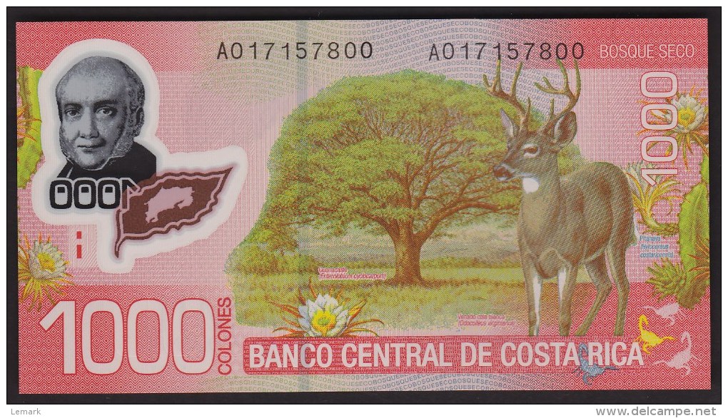 Costa Rica 1000 Colones 2009 P274 UNC - Costa Rica