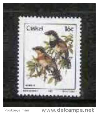 CISKEI, 1987, MNH Stamp(s), Definitive Bird 16 Cent,  Nr(s). 114 - Ciskei