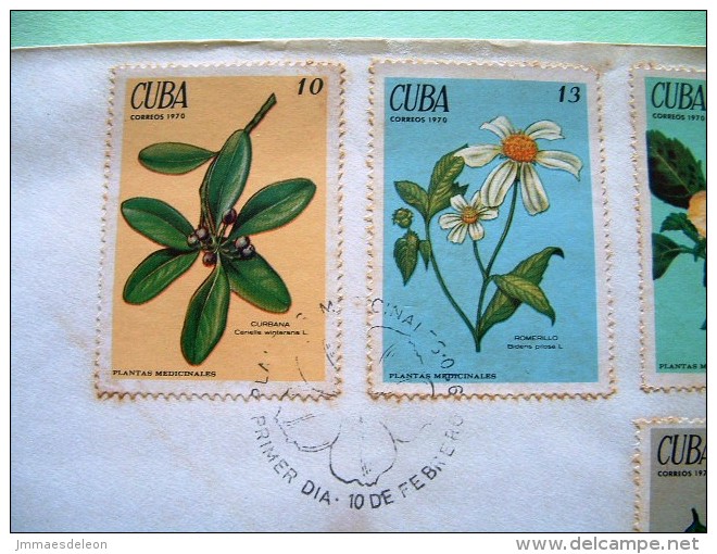 Cuba 1970 FDC Cover Flowers And Fruits - Rusty - Lettres & Documents