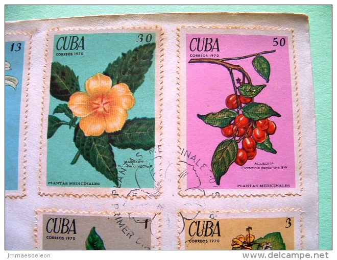 Cuba 1970 FDC Cover Flowers And Fruits - Rusty - Lettres & Documents