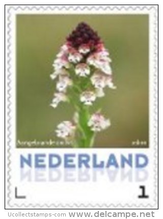 Nederland  2013 Ucollect  Orchidee 10 Aangebrande Ordchis Postfris/mnh/neuf - Nuevos