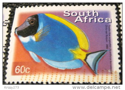 South Africa 2000 Acanthurus Leucosternon Fish 60c - Used - Usados
