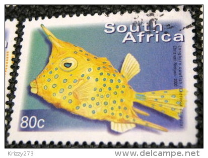 South Africa 2000 Lactoria Cornuta Fish 80c - Used - Used Stamps