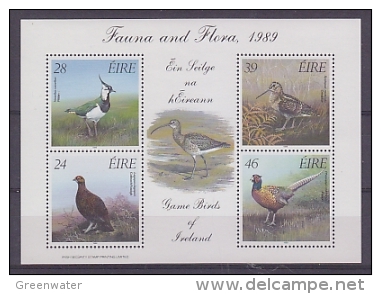 Ireland 1989 Fauna And Flora M/s ** Mnh (22662) - Blocchi & Foglietti