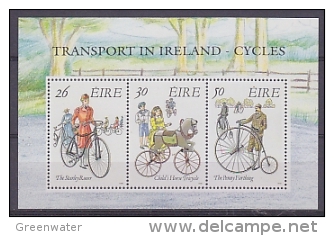 Ireland 1991 Transport In Ireland - Cycles M/s ** Mnh (22663) - Hojas Y Bloques