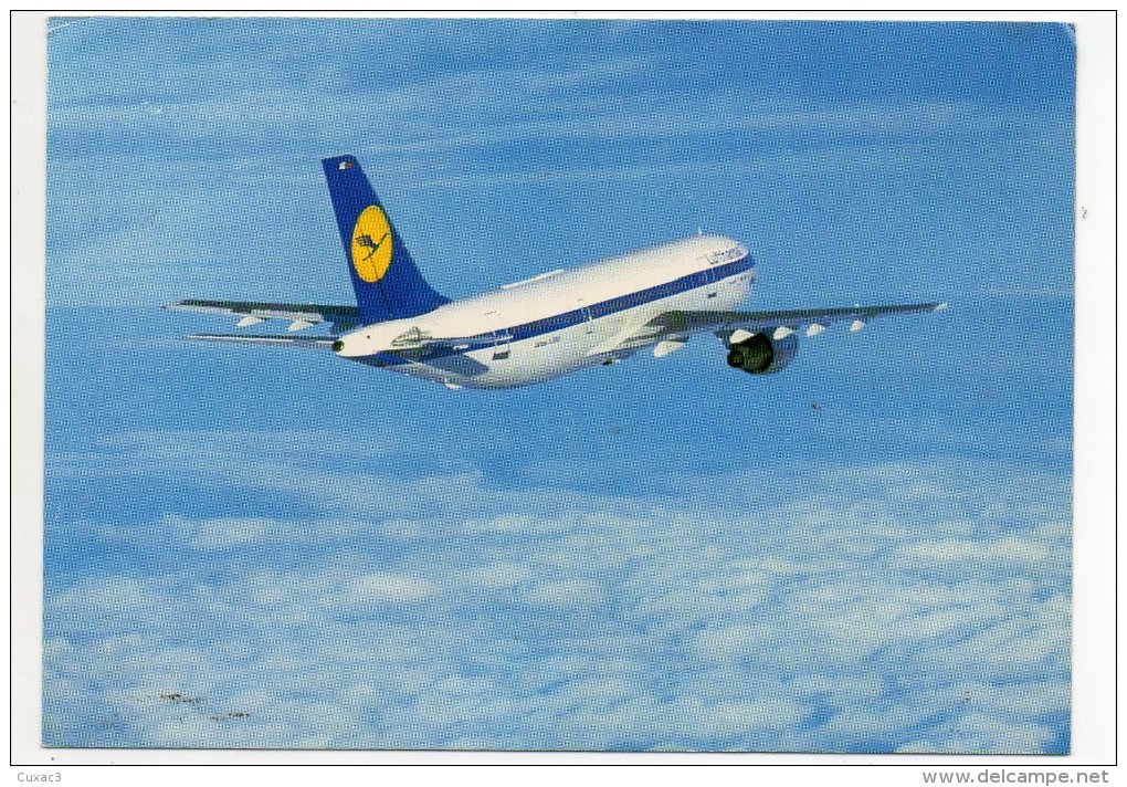 Lufthansa A300 - Sonstige & Ohne Zuordnung