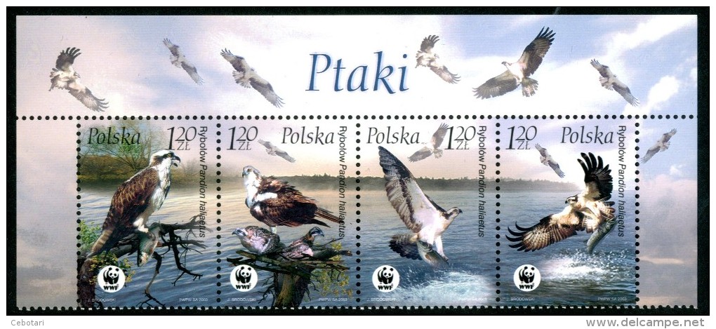 POLONIA / POLSKA 2003** - Uccelli / Birds - WWF - Block MNH Come Da Scansione - Altri & Non Classificati