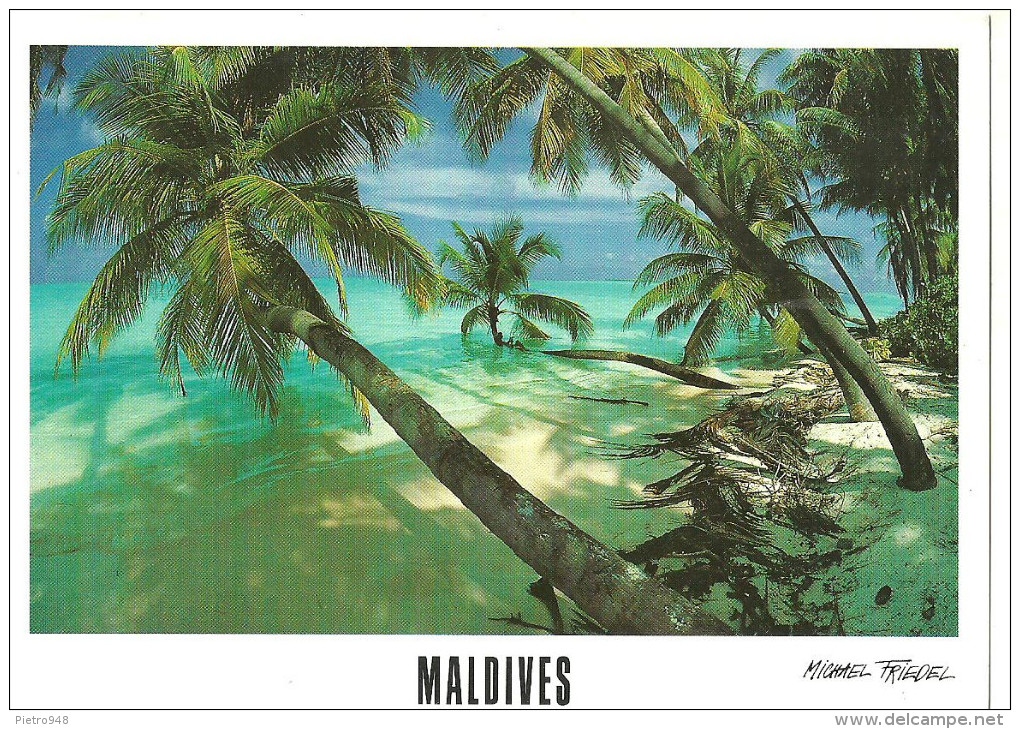 Maldives (Maldive) Spiaggia Con Palme, La Plage, The Beach, Valore Francobollo Sovrastampato - Maldive