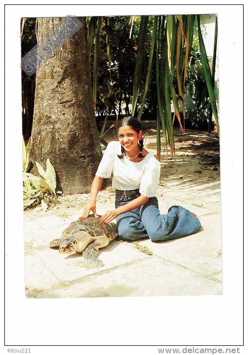 Guadeloupe - Pour Préparer Un Bon Repas à La Tortue - Turtle - 1982 - Femme Et Tortue - N°7670 - Tortues