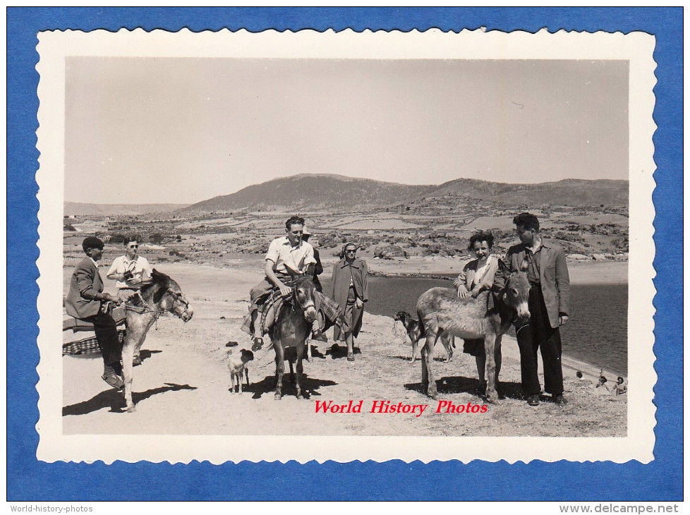 Photo Ancienne - Arret Sur La Route De Tolède / TOLEDO - Transport Par Ane - Espana - Chien Dog Hund - Unclassified