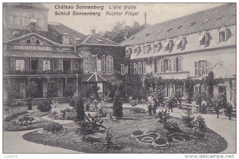 Carspach 68 - Château Sonnenberg - Schloss Sonnenberg - Bad Sonnenberg Parc - Autres & Non Classés