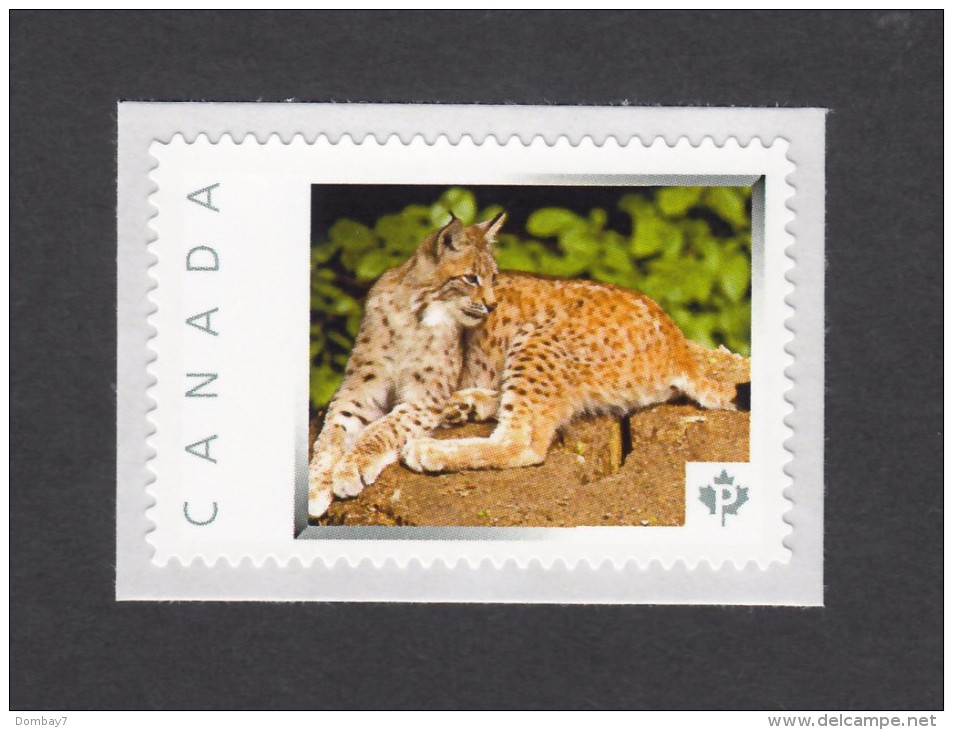LYNX, BOBCAT, LUCHS, LINCE, Picture Postage MNH Stamp,Canada 2014 [p6an5] - Big Cats (cats Of Prey)