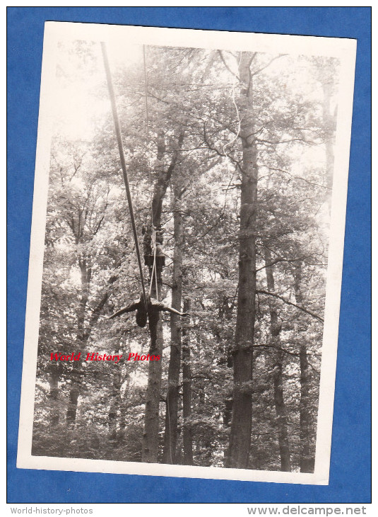 Photo Ancienne - TRIER / TREVES - Manoeuvres De Militaire Français - La Tyrolienne Oblique - Juin 1968 - Métiers