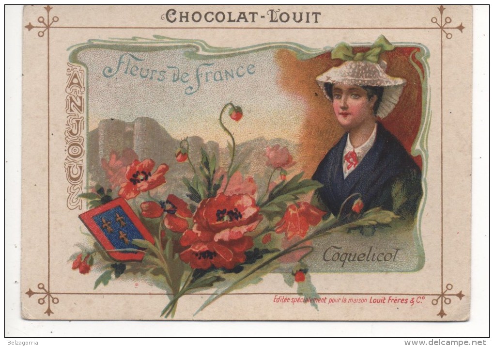 CHROMOS - CHOCOLAT LOUIT - COQUELICOT, FLEURS De FRANCE, Voir SCAN - Louit