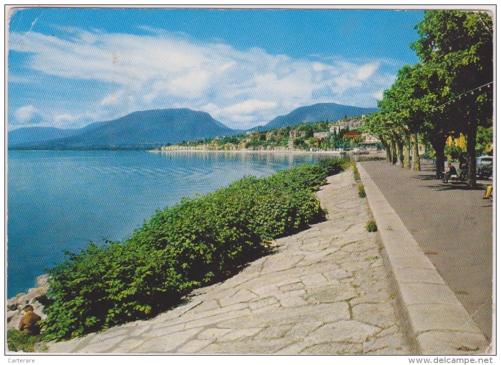 SUISSE ROMANDE,HELVETIA,SWISS,SCHWEIZ,SVIZZERA,SWITZERLAND,NEUCHATEL - Neuchâtel