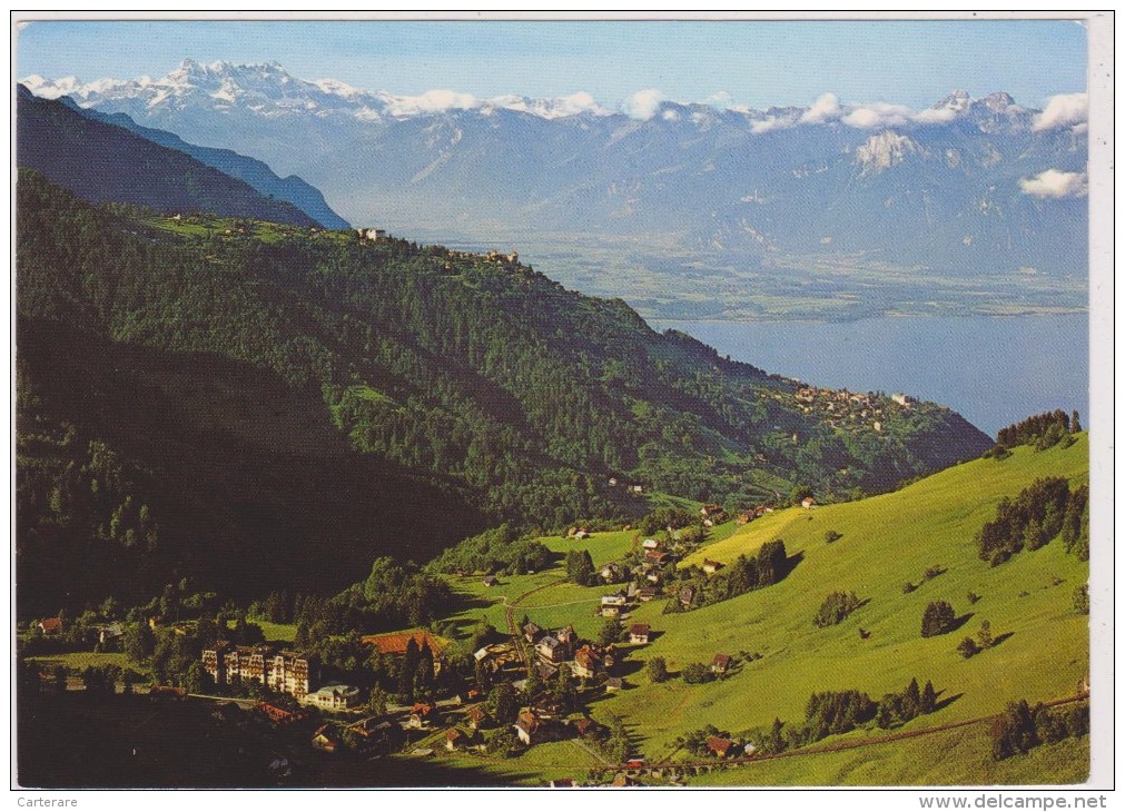 SUISSE,SWITZERLAND,SVIZZERA,SCHWEIZ,HELVETIA,SWISS ,VAUD,MONTREUX,TERRITET - Montreux